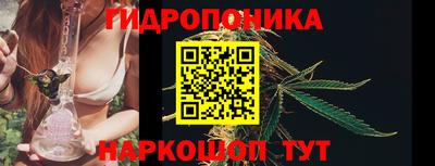 apvp Мариинск