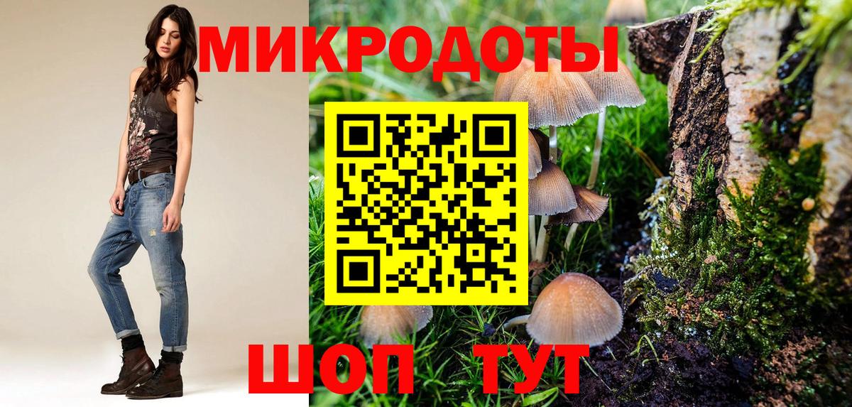 Канаш  продажа наркотиков  Вход с VPN  Псилоцибиновые грибы прущие грибы 