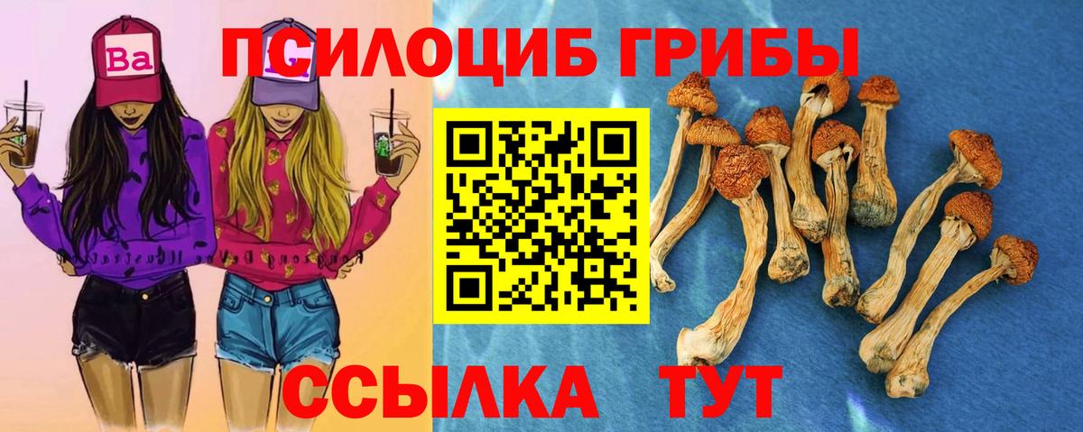 Псилоцибиновые грибы мухоморы Канаш